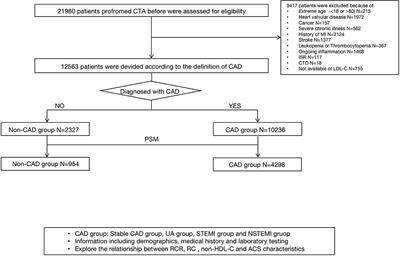 Association of Increased Remnant Cholesterol and the Risk of Coronary Artery Disease: A Retrospective Study